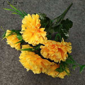 ̓Mtg J[l[V ԑ ~ju[P 16{  sv ͂Ȃ Ԍ|p 뉀  iX ʐ^Be k DIY  hCt[ 