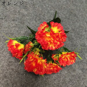 ̓Mtg J[l[V ԑ ~ju[P 16{  sv ͂Ȃ Ԍ|p 뉀  iX ʐ^Be k DIY  hCt[ 