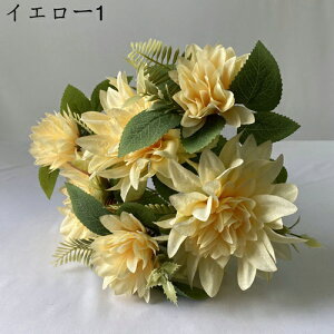   214{ { ꂢ ~ju[P  Ԍ|p  ʐ^Be LO ̓Mtg v[g ͂Ȃ sv  VN