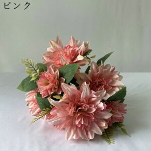   214{ { ꂢ ~ju[P  Ԍ|p  ʐ^Be LO ̓Mtg v[g ͂Ȃ sv  VN