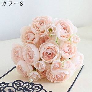 ԑ ͂Ȃ coL 241Zbg  Ԍ|p j v[g  ʐ^Be LO ̓ }`bN  VN  { u[P  F