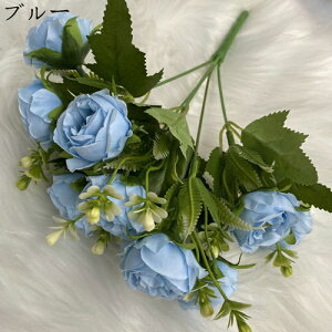 ͂Ȃ {^ 110{ ~ju[P  Ԍ|p j v[g  ʐ^Be LO ̓ }`bN  VN  { u[P  F