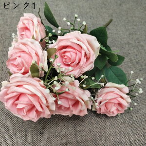 o ~ju[P ԑ 19{ v[g   Ԍ|p j ʐ^Be LO ̓ }`bN  VN  { sv  ͂Ȃ F