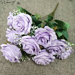 o ~ju[P ԑ 19{ v[g   Ԍ|p j ʐ^Be LO ̓ }`bN  VN  { sv  ͂Ȃ F