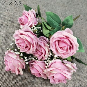 o ~ju[P ԑ 19{ v[g   Ԍ|p j ʐ^Be LO ̓ }`bN  VN  { sv  ͂Ȃ F