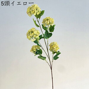 ԑ  Ԃ̉ԑ AWTC lHϗtA ̓Mtg CeA u[P ͂Ȃ  VN JXj 뉀 Ԍ|p  ʐ^Be j v[g CeA 