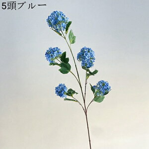 ԑ  Ԃ̉ԑ AWTC lHϗtA ̓Mtg CeA u[P ͂Ȃ  VN JXj 뉀 Ԍ|p  ʐ^Be j v[g CeA 