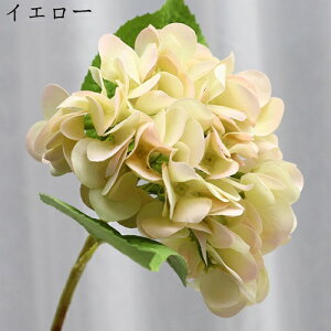 AWTC VN ͂Ȃ u[P { sv  iX p Ԍ|p  ʐ^Be LO CeA   ԑ