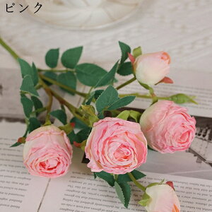 o  525{ ͂Ȃ CeA ԑ sv   v[g Mtg 蕨 JXj a  EFfBO u[P   Be p z[ 뉀