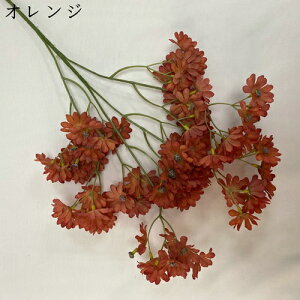  ͂Ȃ   e 2 LO  ̓Mtg { sv  t[ 뉀 Ԍ|p v[g  iX ԑ VN k DIY