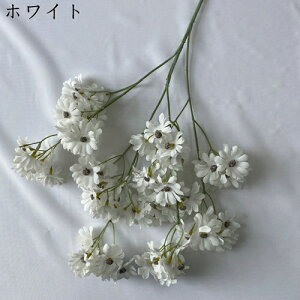  ͂Ȃ   e 2 LO  ̓Mtg { sv  t[ 뉀 Ԍ|p v[g  iX ԑ VN k DIY