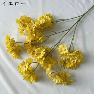  ͂Ȃ   e 2 LO  ̓Mtg { sv  t[ 뉀 Ԍ|p v[g  iX ԑ VN k DIY