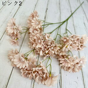  ͂Ȃ   e 2 LO  ̓Mtg { sv  t[ 뉀 Ԍ|p v[g  iX ԑ VN k DIY