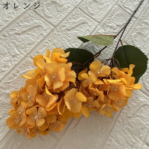 VN 1 AWTC ͂Ȃ {  DIY iX  JXj ʐ^Be Ԍ|p j v[g ̓Mtg  ԑ VN lHϗtA