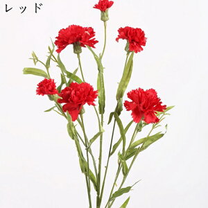  ͂Ȃ   J[l[V ̓Mtg LO  { sv  t[ 뉀 Ԍ|p v[g  iX ԑ VN