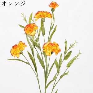  ͂Ȃ   J[l[V ̓Mtg LO  { sv  t[ 뉀 Ԍ|p v[g  iX ԑ VN