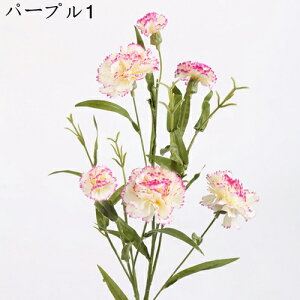  ͂Ȃ   J[l[V ̓Mtg LO  { sv  t[ 뉀 Ԍ|p v[g  iX ԑ VN