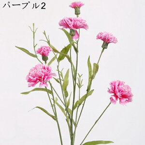  ͂Ȃ   J[l[V ̓Mtg LO  { sv  t[ 뉀 Ԍ|p v[g  iX ԑ VN