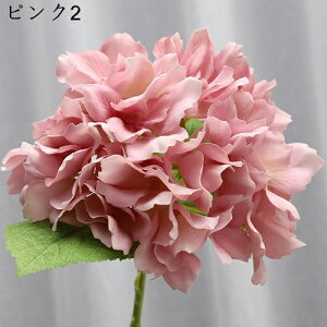 VN AWTC ͂Ȃ u[P { sv  iX p Ԍ|p  ʐ^Be LO CeA   ԑ