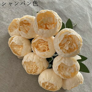 {^  ԑ 110{ lHϗtA ͂Ȃ Ԃ݂ Be ̓ j v[g  ItBX iX  CeA {  sv