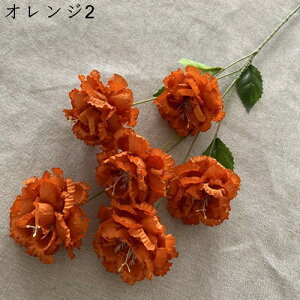 ԑ ͂Ȃ 61Zbg  Ԍ|p j v[g  ʐ^Be LO ̓ }`bN {  VN  { u[P  F 