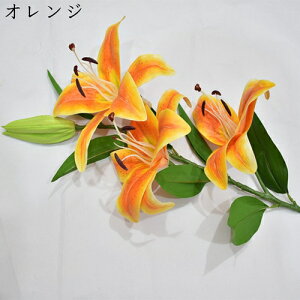  ͂Ȃ  {   ̓Mtg LO  { sv  t[ 뉀 Ԍ|p v[g  iX ԑ VN