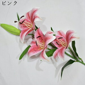  ͂Ȃ  {   ̓Mtg LO  { sv  t[ 뉀 Ԍ|p v[g  iX ԑ VN