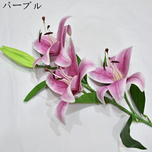  ͂Ȃ  {   ̓Mtg LO  { sv  t[ 뉀 Ԍ|p v[g  iX ԑ VN