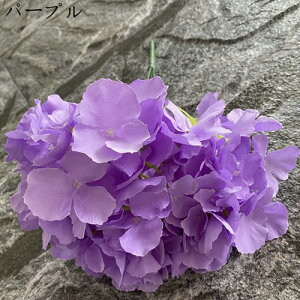 AWTC ͂Ȃ  1 DIY k  Ԍ|p j v[g  ʐ^Be LO ̓ }`bN VN sv  { u[P  F 