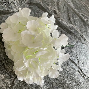 AWTC ͂Ȃ  1 DIY k  Ԍ|p j v[g  ʐ^Be LO ̓ }`bN VN sv  { u[P  F 