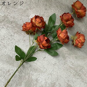 {^ ͂Ȃ    17{ ̓Mtg LO  { sv  t[  뉀 Ԍ|p v[g  iX ~ju[P VN