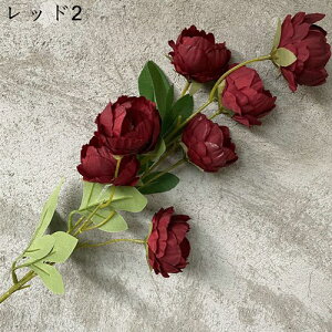 {^ ͂Ȃ    17{ ̓Mtg LO  { sv  t[  뉀 Ԍ|p v[g  iX ~ju[P VN