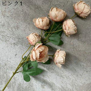 {^ ͂Ȃ    17{ ̓Mtg LO  { sv  t[  뉀 Ԍ|p v[g  iX ~ju[P VN