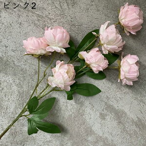 {^ ͂Ȃ    17{ ̓Mtg LO  { sv  t[  뉀 Ԍ|p v[g  iX ~ju[P VN