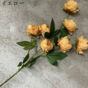 {^ ͂Ȃ    17{ ̓Mtg LO  { sv  t[  뉀 Ԍ|p v[g  iX ~ju[P VN