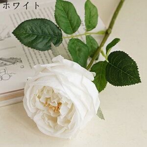 o  ͂Ȃ  1 ̓Mtg LO  { sv  t[ 뉀 Ԍ|p v[g  iX ԑ VN hCt[