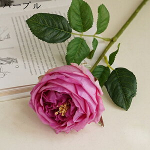 o  ͂Ȃ  1 ̓Mtg LO  { sv  t[ 뉀 Ԍ|p v[g  iX ԑ VN hCt[