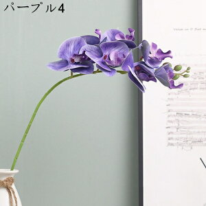 ԑ 3Zbg ͂Ȃ Ӓ Ԍ|p j v[g  ʐ^Be LO ̓ }`bN  VN  { u[P  F k DIY