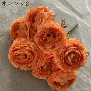 {^ ԑ ͂Ȃ 7  Ԍ|p j v[g  ʐ^Be LO ̓ }`bN  VN  { u[P  F DIY k 