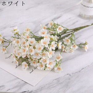 ~ju[P  ͂Ȃ  1 100 DIY k LO  ̓Mtg { sv  t[ 뉀 Ԍ|p v[g  iX ԑ  VN