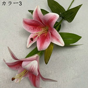 ͂Ȃ  1   Ԍ|p j v[g  ʐ^Be LO ̓ 뉀 p }`bN  VN  sv { u[P  k