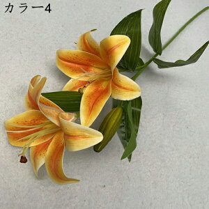 ͂Ȃ  1   Ԍ|p j v[g  ʐ^Be LO ̓ 뉀 p }`bN  VN  sv { u[P  k