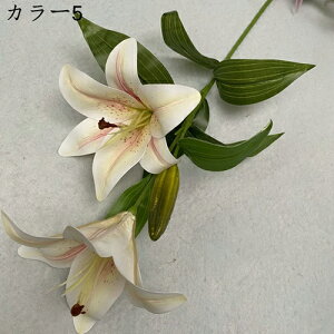 ͂Ȃ  1   Ԍ|p j v[g  ʐ^Be LO ̓ 뉀 p }`bN  VN  sv { u[P  k