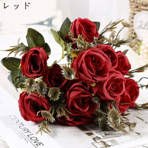 ԑ ͂Ȃ o  Ԍ|p j v[g }`bN  ʐ^Be LO ̓ }`bN  VN  { u[P  F 16{