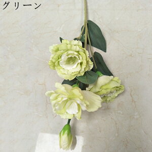 ͂Ȃ LLE  CeA A[gt[ ԑ 4 v[g Mtg 蕨 JXj a  EFfBO  ʐ^Be p z[ 뉀 sv  