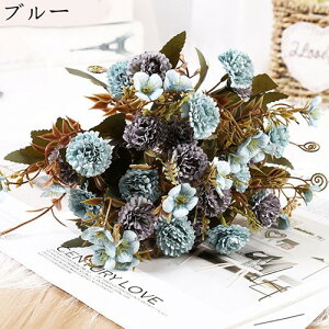 ~ju[P ԑ ͂Ȃ CbN  1Zbg  Ԍ|p j v[g  ʐ^Be LO ̓ }`bN  VN  { u[P 