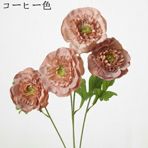  ͂Ȃ   J[l[V ̓Mtg LO  { sv  t[ 뉀 Ԍ|p v[g  iX ԑ VN