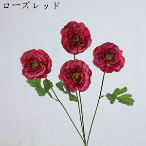  ͂Ȃ   J[l[V ̓Mtg LO  { sv  t[ 뉀 Ԍ|p v[g  iX ԑ VN