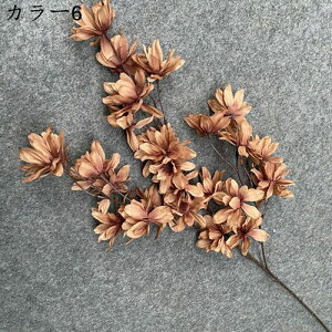  ԑ ͂Ȃ 1   Ԍ|p j v[g  ʐ^Be LO ̓ }`bN  VN  { u[P  F ~ju[P