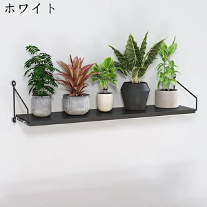 Ǌ|I EH[VFt EH[bN ؐ ݂I I AؔI AؔX^h pbN [I ǂȂ sv lWStbNt ʏ Lb` Q o